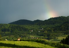 07-Tęcza nad Wiśniową, fot. D. Dąbrowski